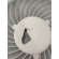TESTE WEBP ação pão